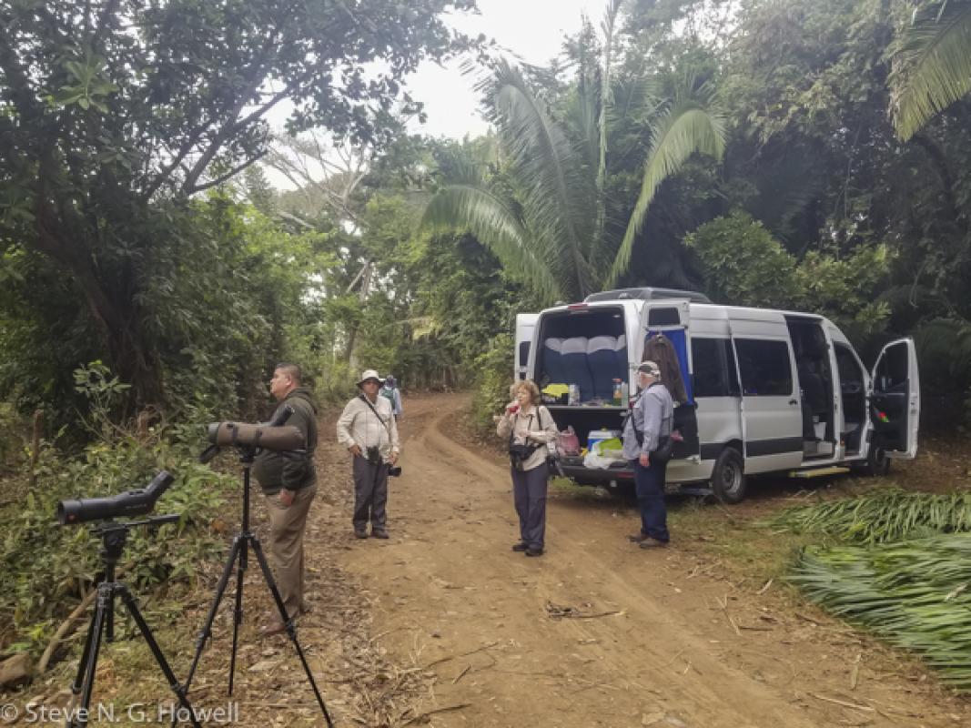 Just another relaxed morning birding in Mexico—and snack-break time!