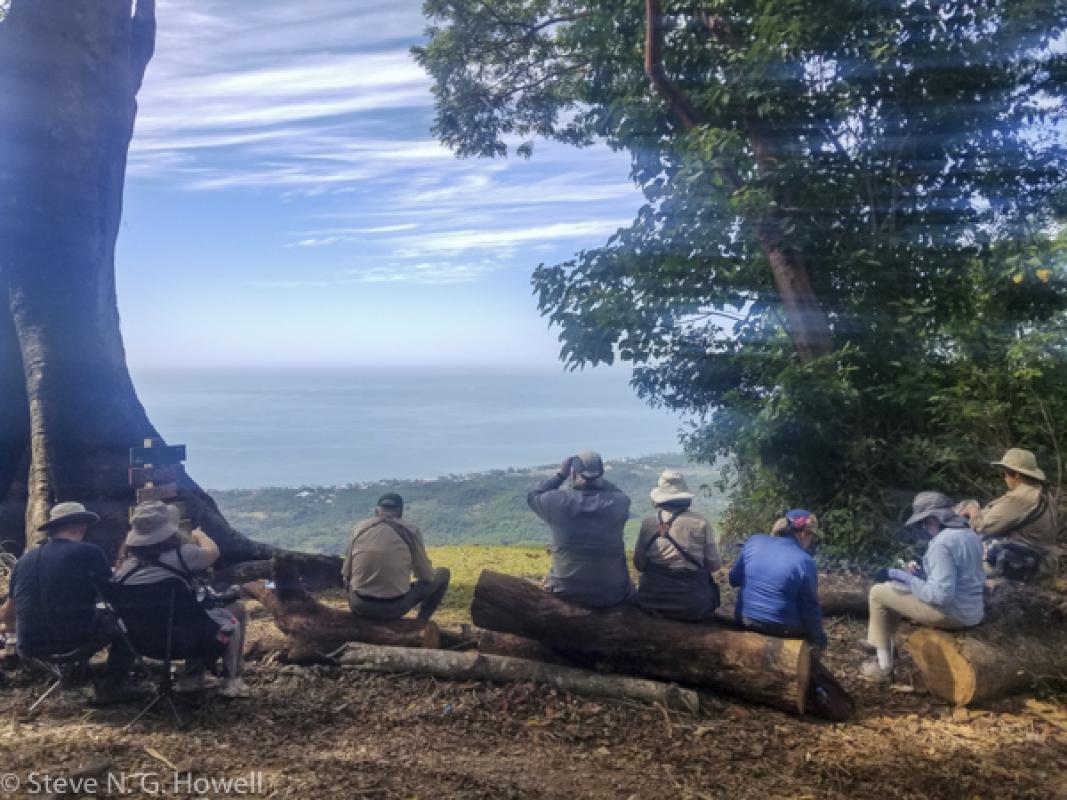 The sun came out properly on our last day, when an eye-level Black-and-white Hawk-Eagle interrupted this picnic lunch minutes after this shot was taken!