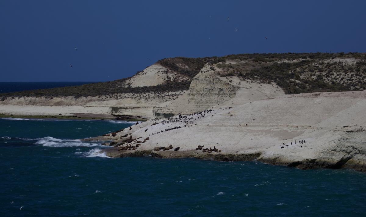 The Patagonia Coast is memorably rugged