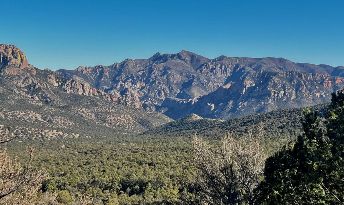 The pink cliffs of Cave Creek Canyon