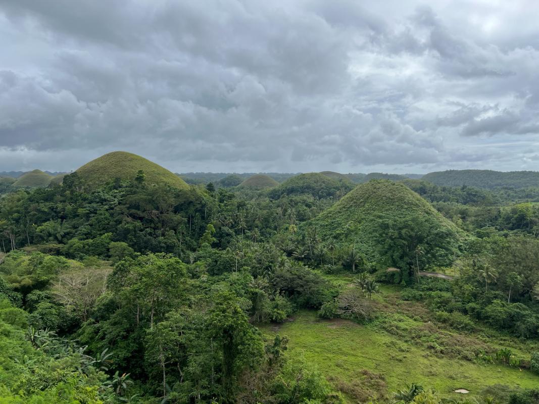 Chocolate Hills