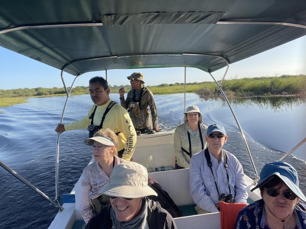 While in Crooked Tree, we took an early morning boat ride across an expansive wetland where we saw birds like Bare-throated Tiger-Heron, Snail Kite, Northern Jacana…