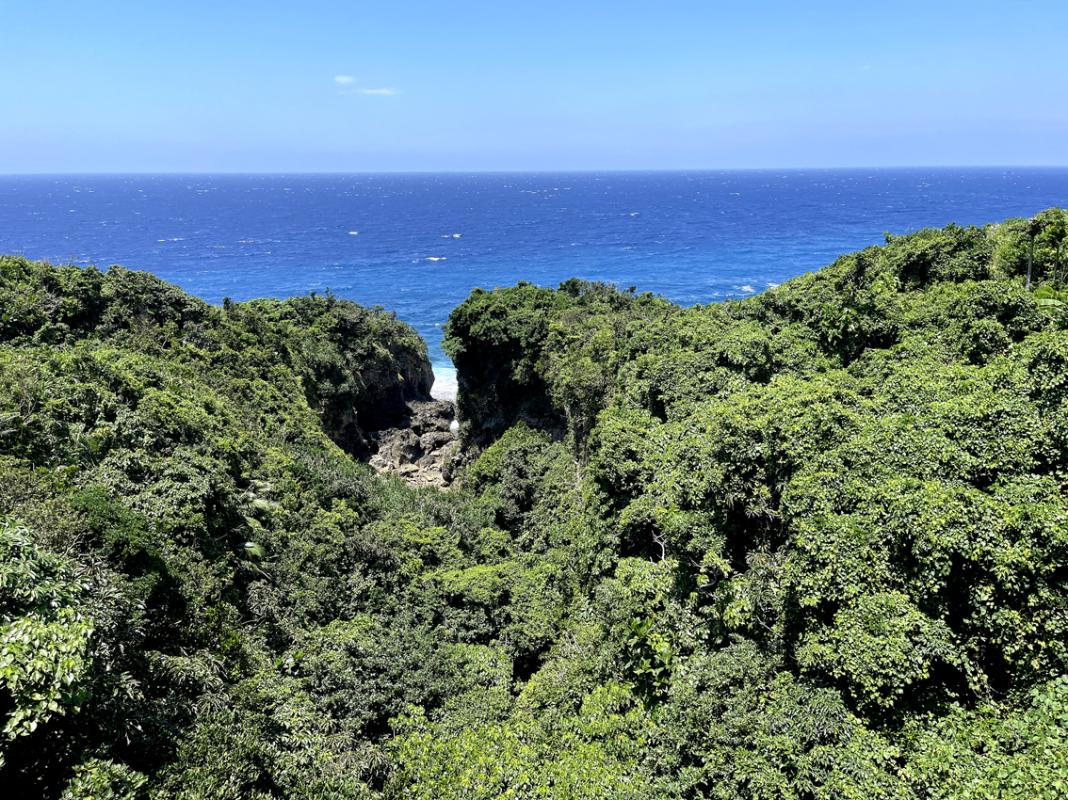 Coastal forest scenery on Lanyu island