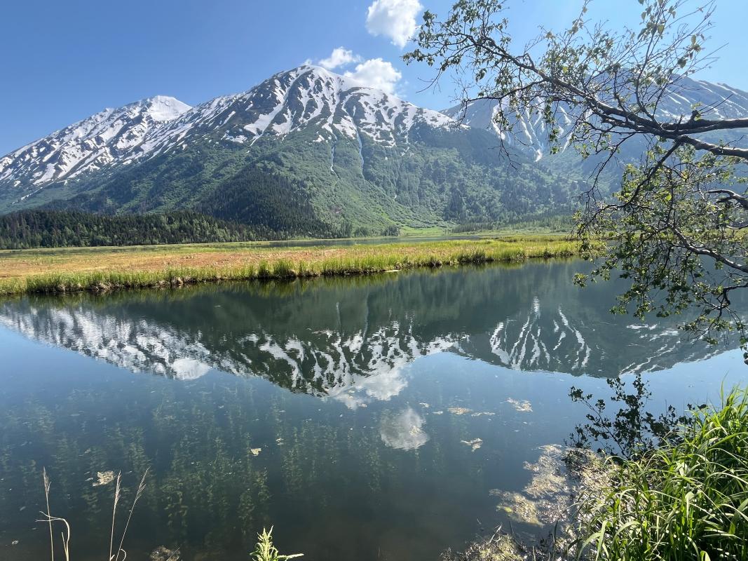Tern Lake