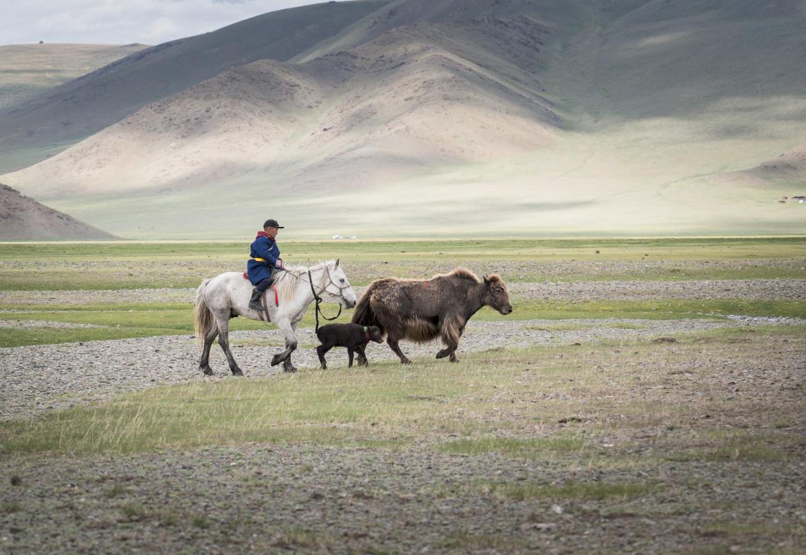 …and traditional practices. 