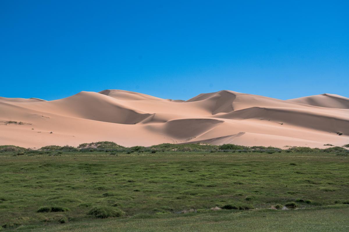 We visited the Gobi Desert…