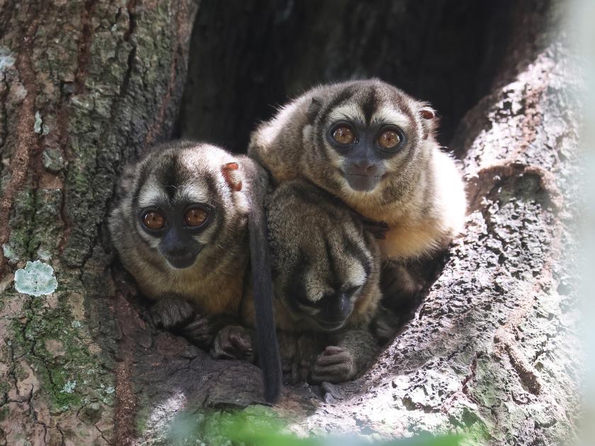 Image for Reporting from Central Colombia