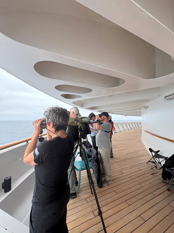 An action shot of the folks birding