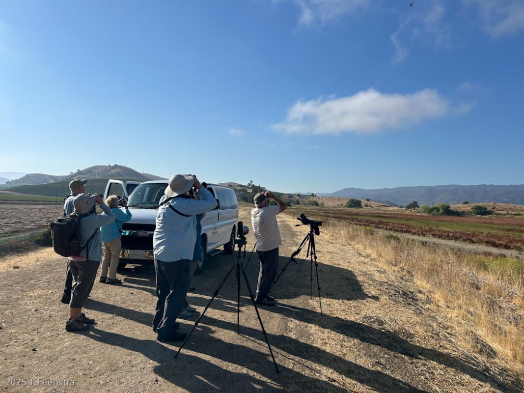The group follows a Prairie Falcon though the sky