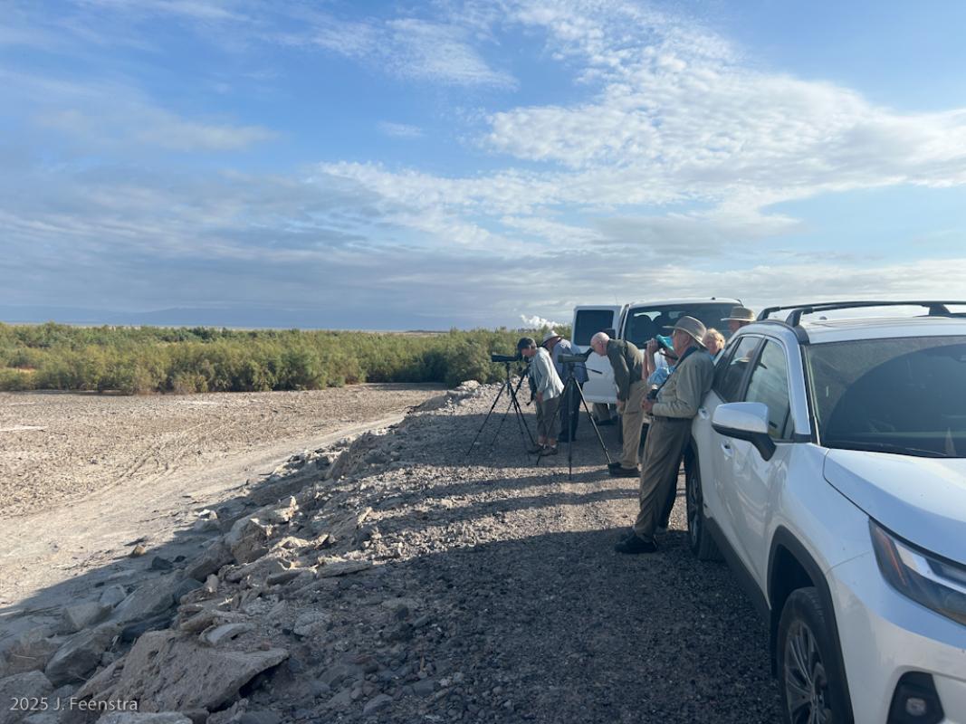 Birding from some much needed shade at the Salton Sea