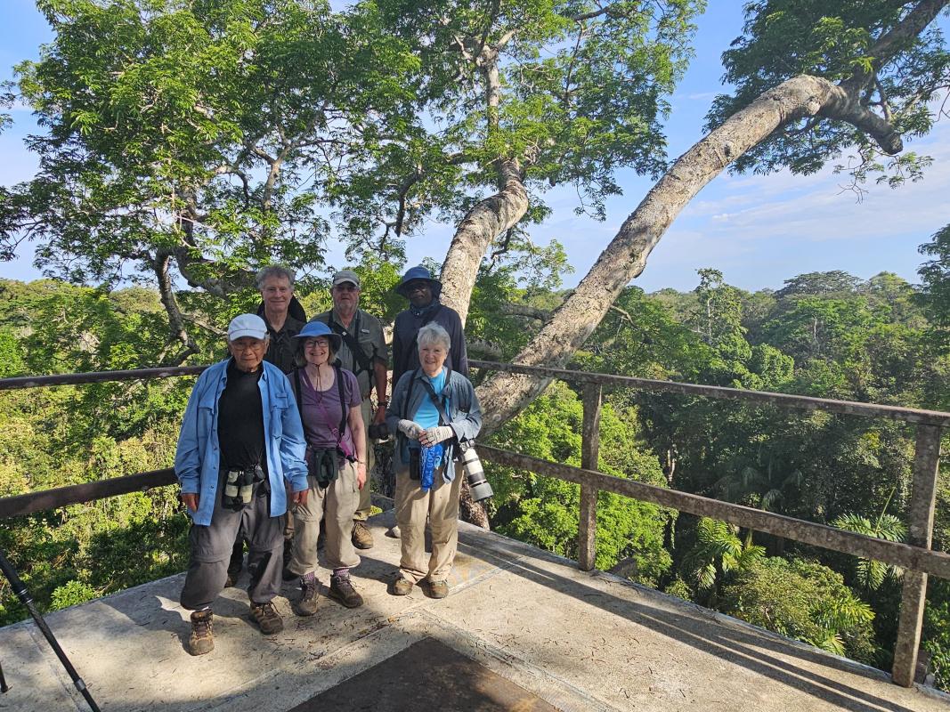 Our group birding in the canopy!