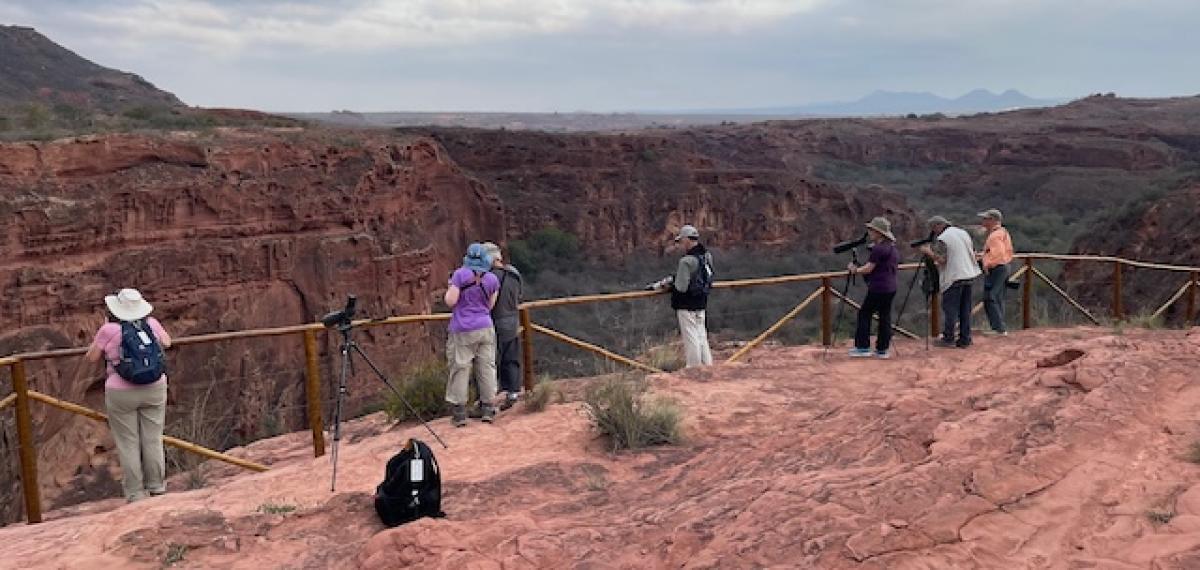 The scenery near Canudos where the macaws nest was awe inspiring.