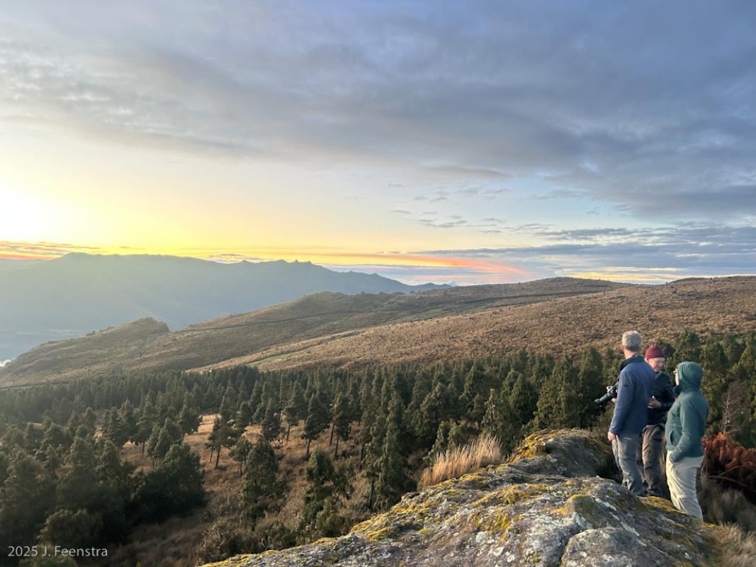 The sunrise on the remote mountain top at Cerro de Arcos, home of Blue-throated Hillstar, was one of the most memorable and coldest parts of the tour. 