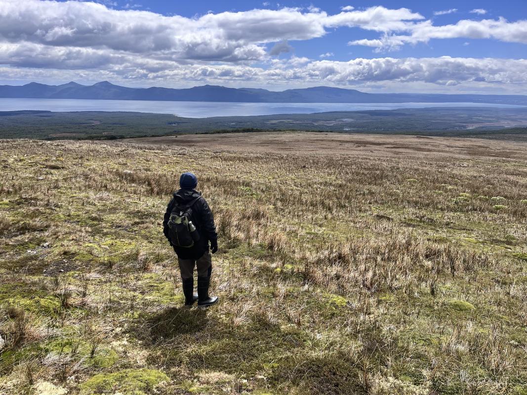 Mario overlooking the Alpine Tundra in search of Seedsnipe.