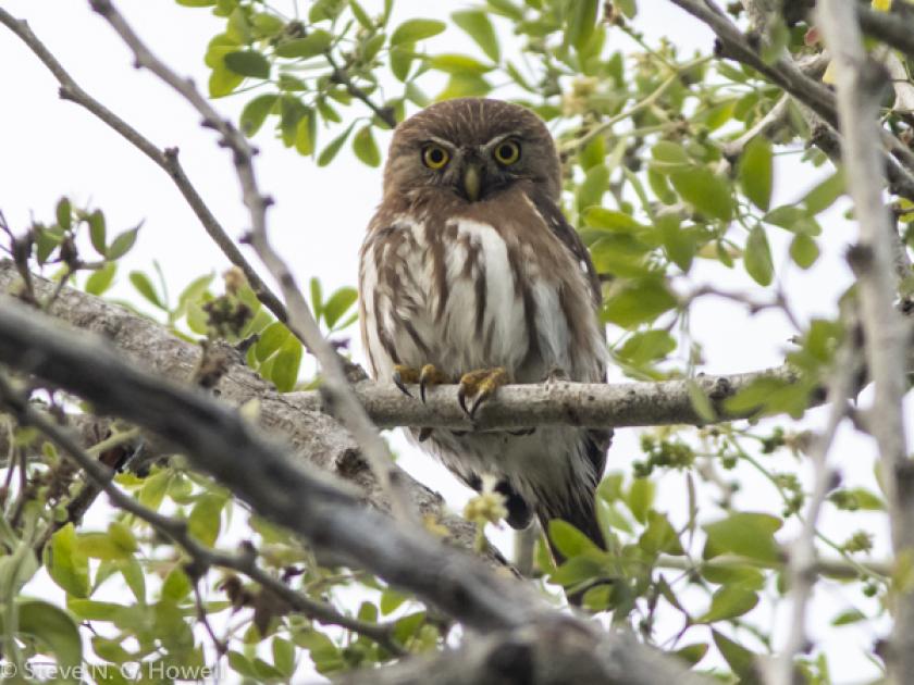 Image for Memories from Mexico: San Blas