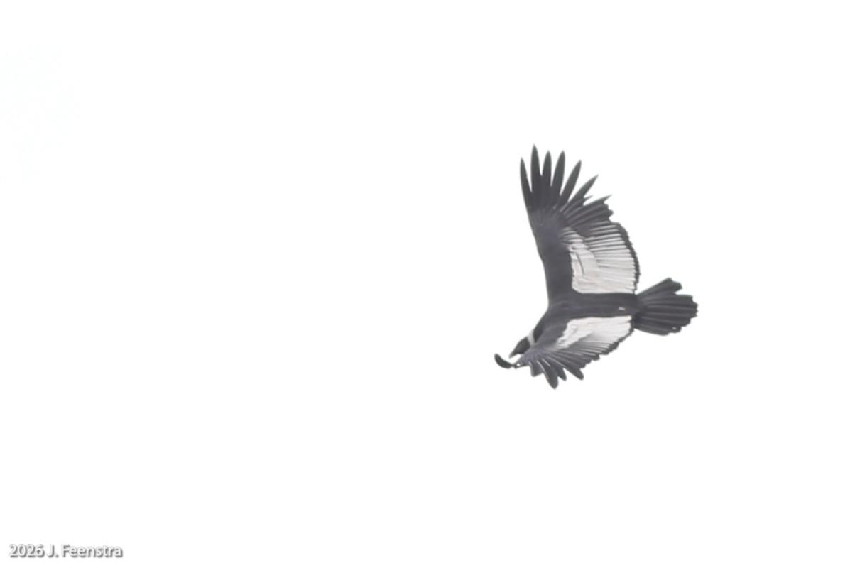 …and even a little from above.