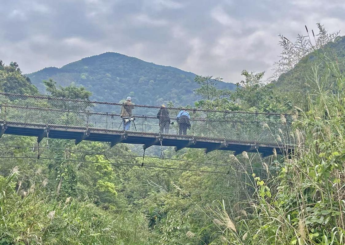 Scenery near Dasyueshan