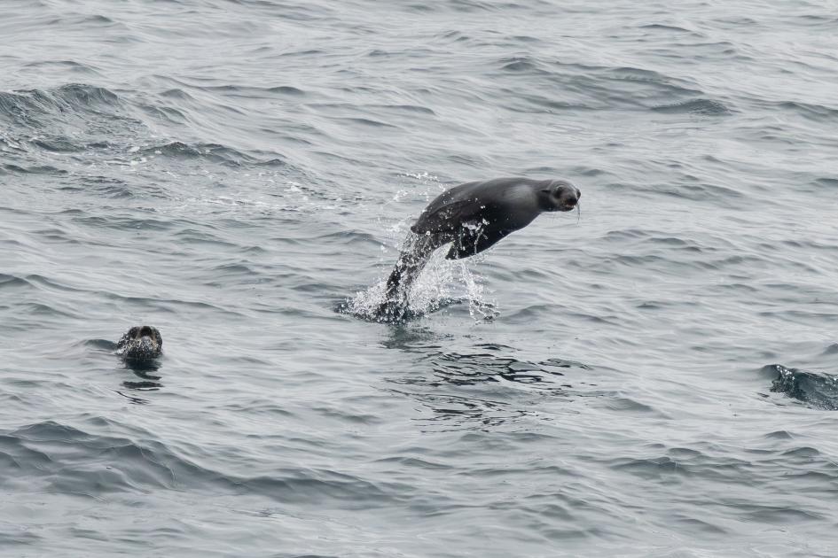 Image for Pics from the Pacific - Pacific Coast Cruise (May) 