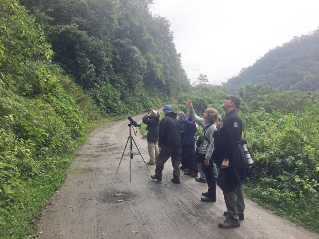 Quiet dirt roads give us access to pristine cloud forest…
