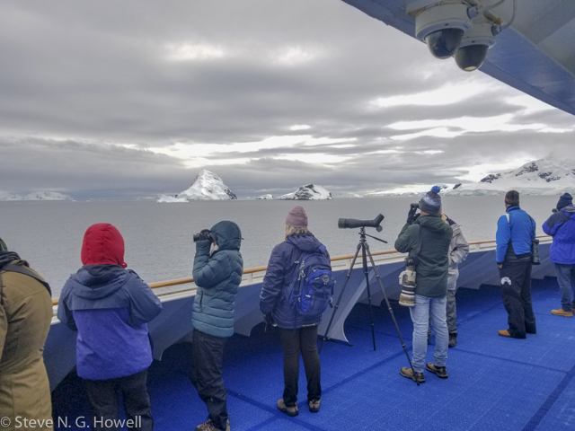 Image for Steve Howell and Luke Seitz on their just-completed cruise, Antarctic Peninsula and around Cape Horn