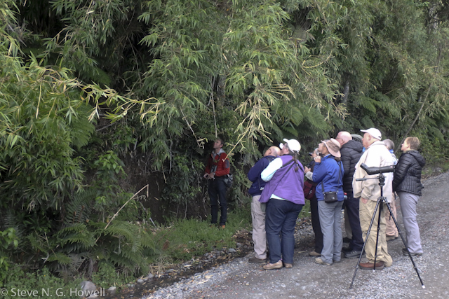 Image for Steve Howell reports from our Chile tour