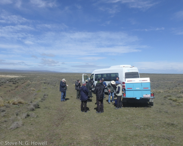 Image for Steve Howell on his and Jake Mohlmann's ongoing tour, Chile: Tierra del Fuego to the Atacama Desert