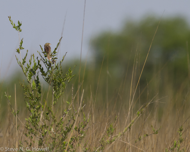 Image for Evan Obercian and Steve Howell from their ongoing Minnesota and North Dakota tour