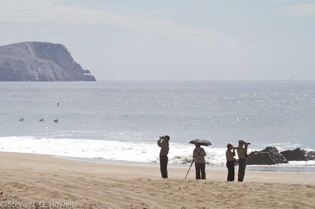 Image for Steve Howell on his just-completed private tour to San Blas and Colima