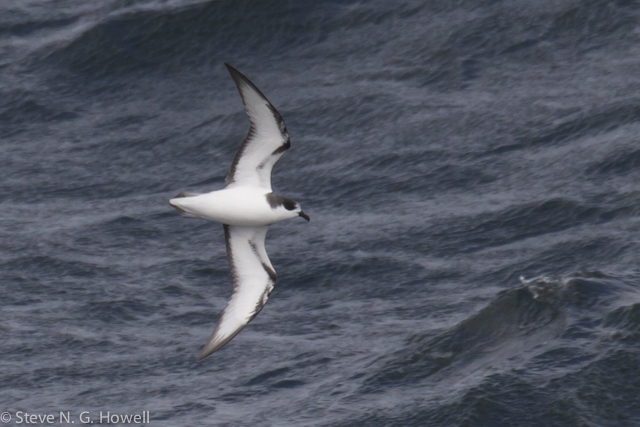 Image for Fabrice Schmitt and Steve Howell from their ongoing cruise, Valparaiso to Buenos Aires 