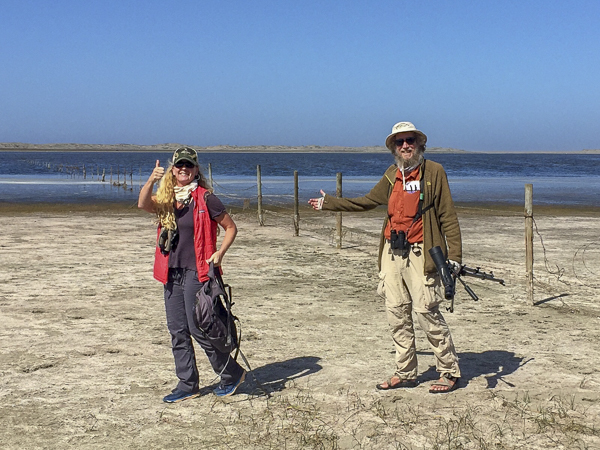 Image for Steve Howell's recent participation in a Marin County, CA birdathon