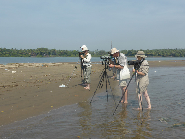 Image for Paul Holt on the conclusion of his tour to Goa, India