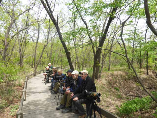 Image for Paul Holt on the conclusion of his tour to China: Happy island and Beidaihe