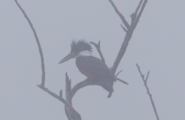 Image for Jake Mohlmann on his and Evan Obercian's just-completed tour, Texas: The Rio Grande Valley