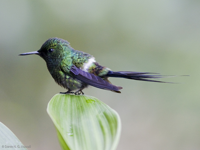 Image for Jon Feenstra on his just concluded tour, Ecuador: A Week in Paradise