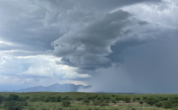 Image for News from Arizona: Second Spring