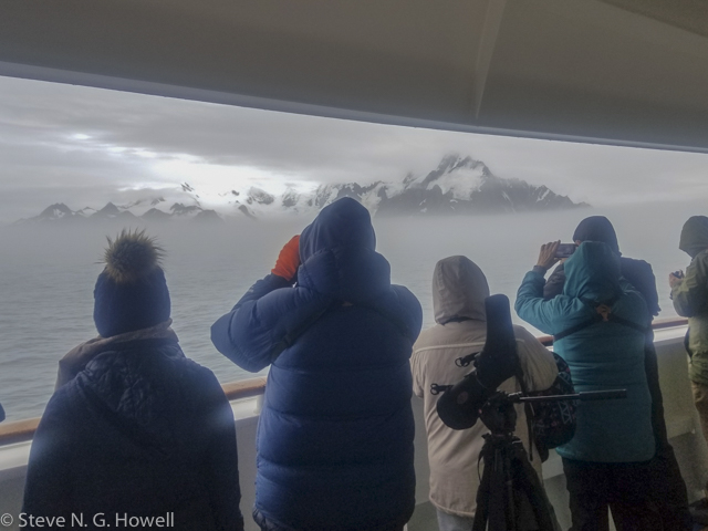 Image for Steve Howell reports from the recent Antarctic 2023 cruise.