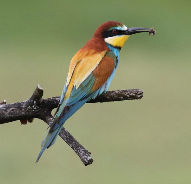 Image for Stuart Elsom on his about-to-be completed photographic tour, Hungary