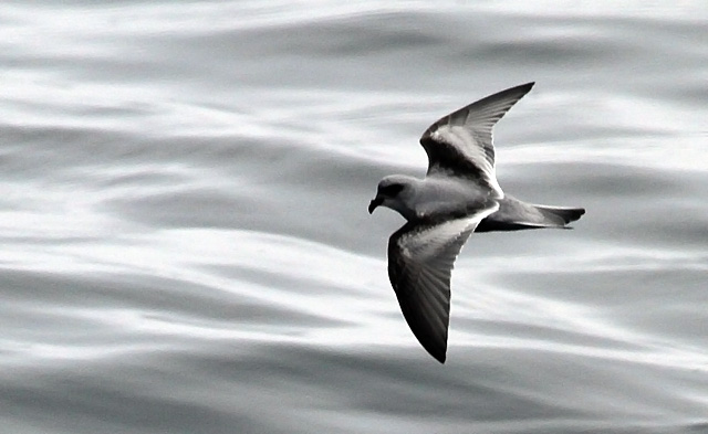 Image for Rich Hoyer from his ongoing tour, Oregon in late Summer
