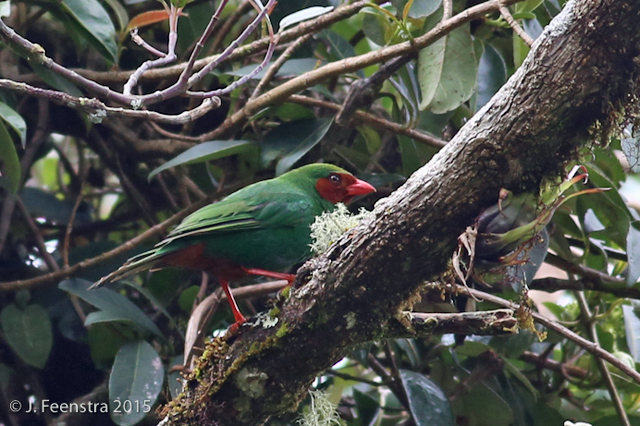 Image for Jon Feenstra from the midway point in his tour to Southern Ecuador