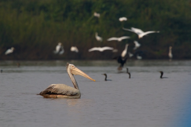 Image for Susan Myers from her recently completed Cambodia tour 