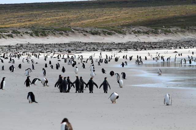 Image for Fabrice Schmitt on the second half of his cruise-tour, Valparaiso to Buenos Aires