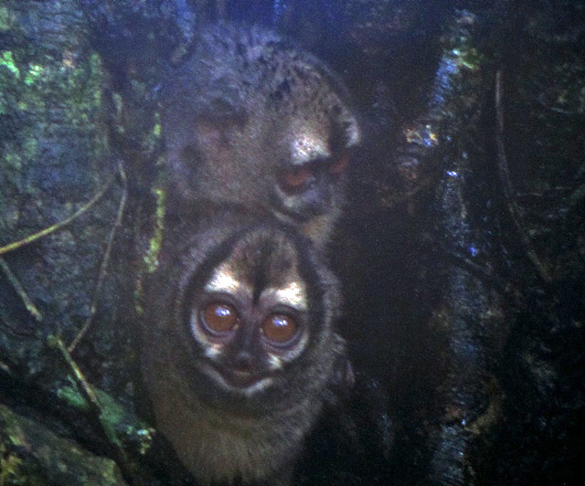 Image for Gavin Bieber on his just-concluded tour to Panama.