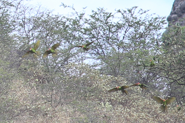 Image for Jon Feenstra on the completion of the second half of his tour, Ecuador: The South