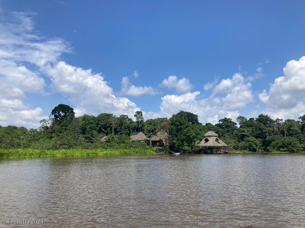 Image for Jon Feenstra reports from his recent trip in the Ecuadorian Amazon