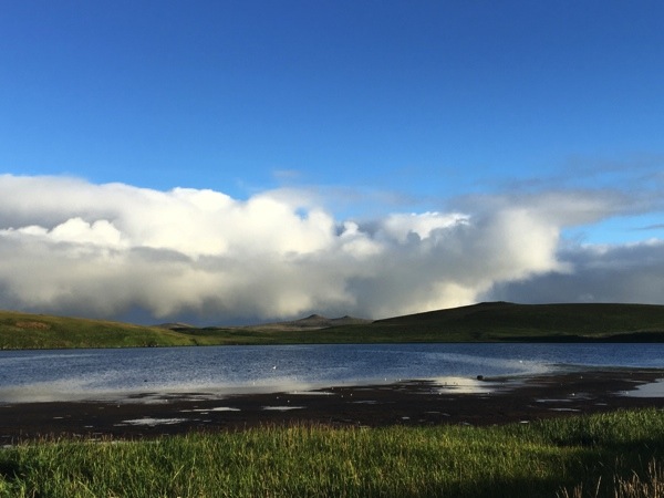 Image for Gavin Bieber on his just-completed tour, Alaska: The Pribilofs in Fall.