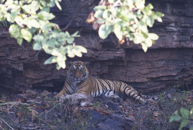 Image for Paul Holt's mid-tour summary of&nbsp;Northern India