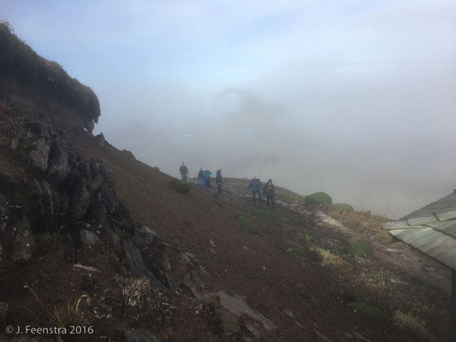 Image for Jon Feenstra on his just-completed tour, Ecuador: The East Slope of the Andes