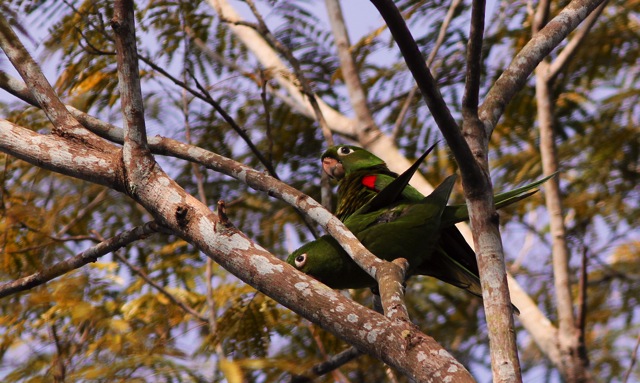 Image for Gavin Bieber on his recently completed tour, The Dominican Republic