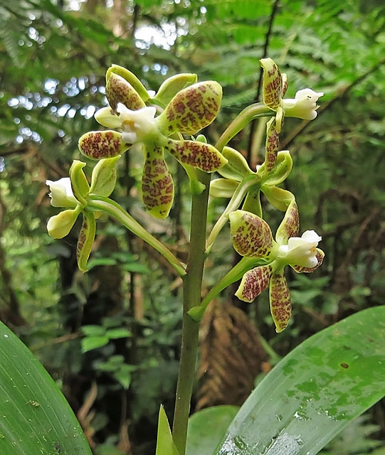 Image for Rich Hoyer on the last half of his March tour to Costa Rica