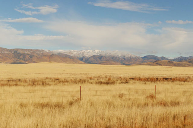 Image for Evan Obercian on his just-completed winter tour of Southeastern Arizona